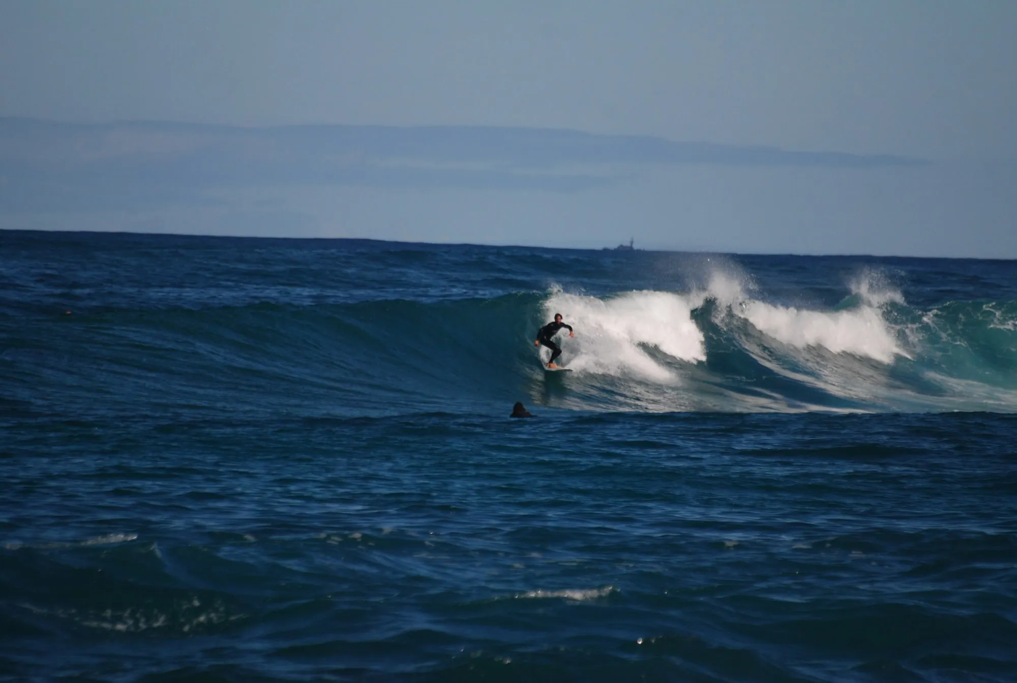 Surfista bajando una ola azul oscuro al atardecer